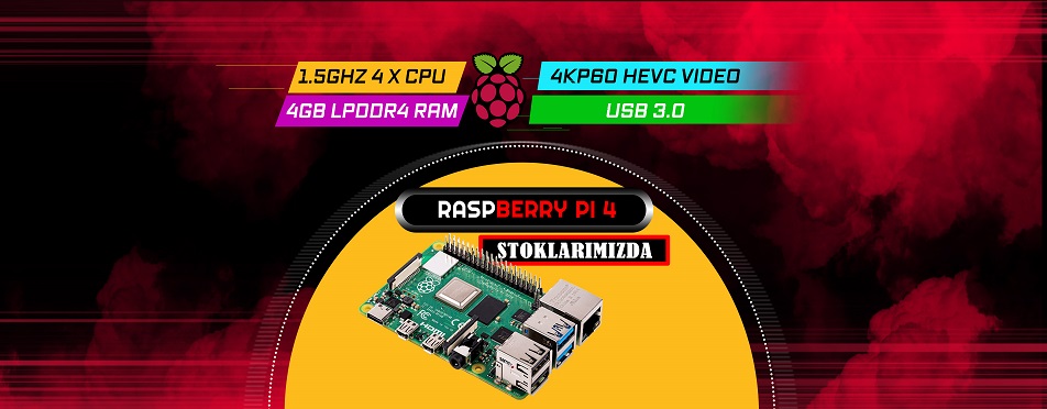 Raspberry Pi 4 - 4GB